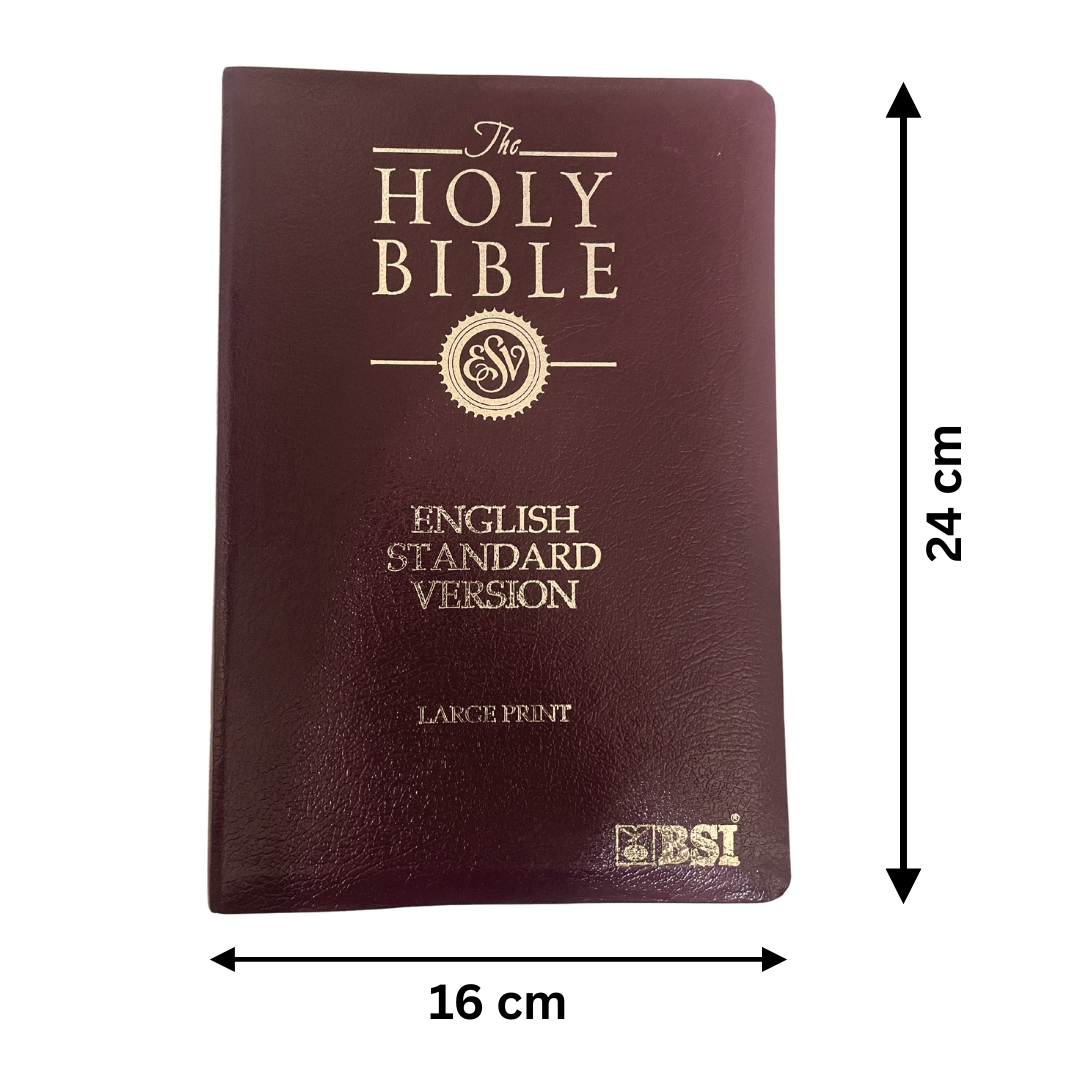 HOLY BIBLE -LARGE PRINT English (ESV) - Image 4