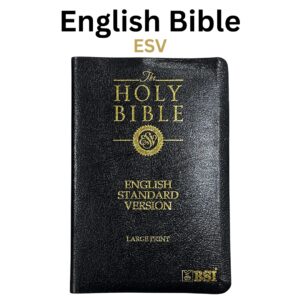 HOLY BIBLE -LARGE PRINT English  (ESV)