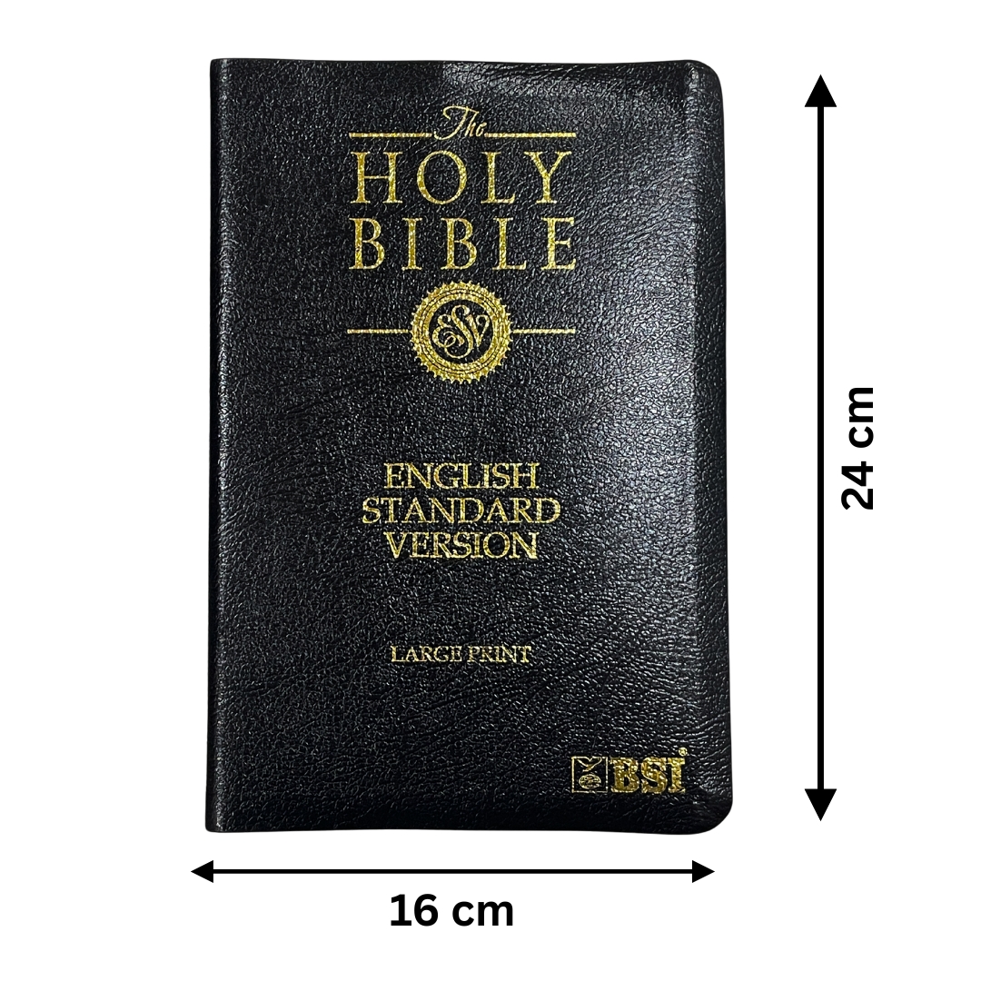 HOLY BIBLE -LARGE PRINT English (ESV) - Image 3