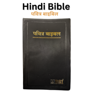 BSI Hindi Bible (पवित्र बाइबिल)