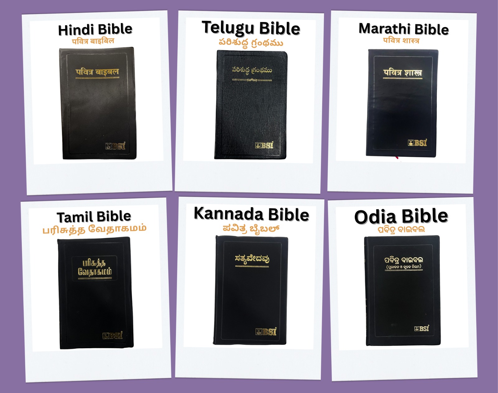 WhatsApp Image 2026-01-09 at 12.19.28 PM