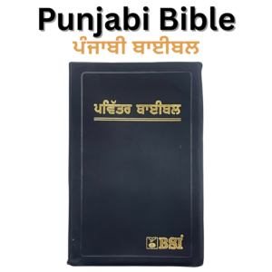 Punjabi BSI Bible ਪੰਜਾਬੀ ਬਾਈਬਲ