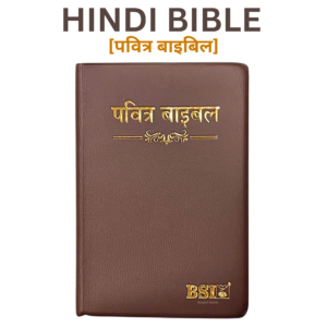 HINDI BIBLE BSI [पवित्र बाइबिल]Vinyl Brown
